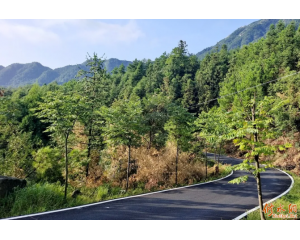 Ļ������