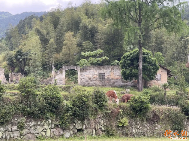 ������-�������ַ�����ʦ����